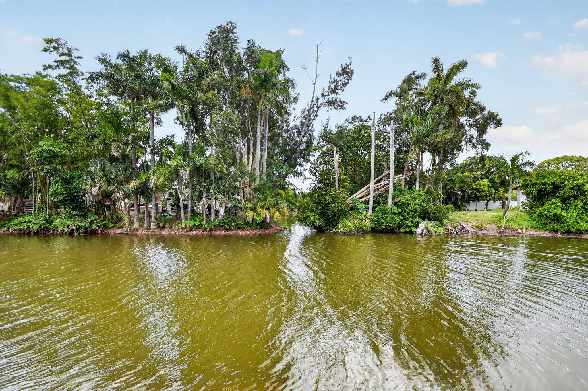 3192 Riddle Road West Palm Beach, FL 33406 - Photo 71 of 74 71-web-or-mls-DSC_9360