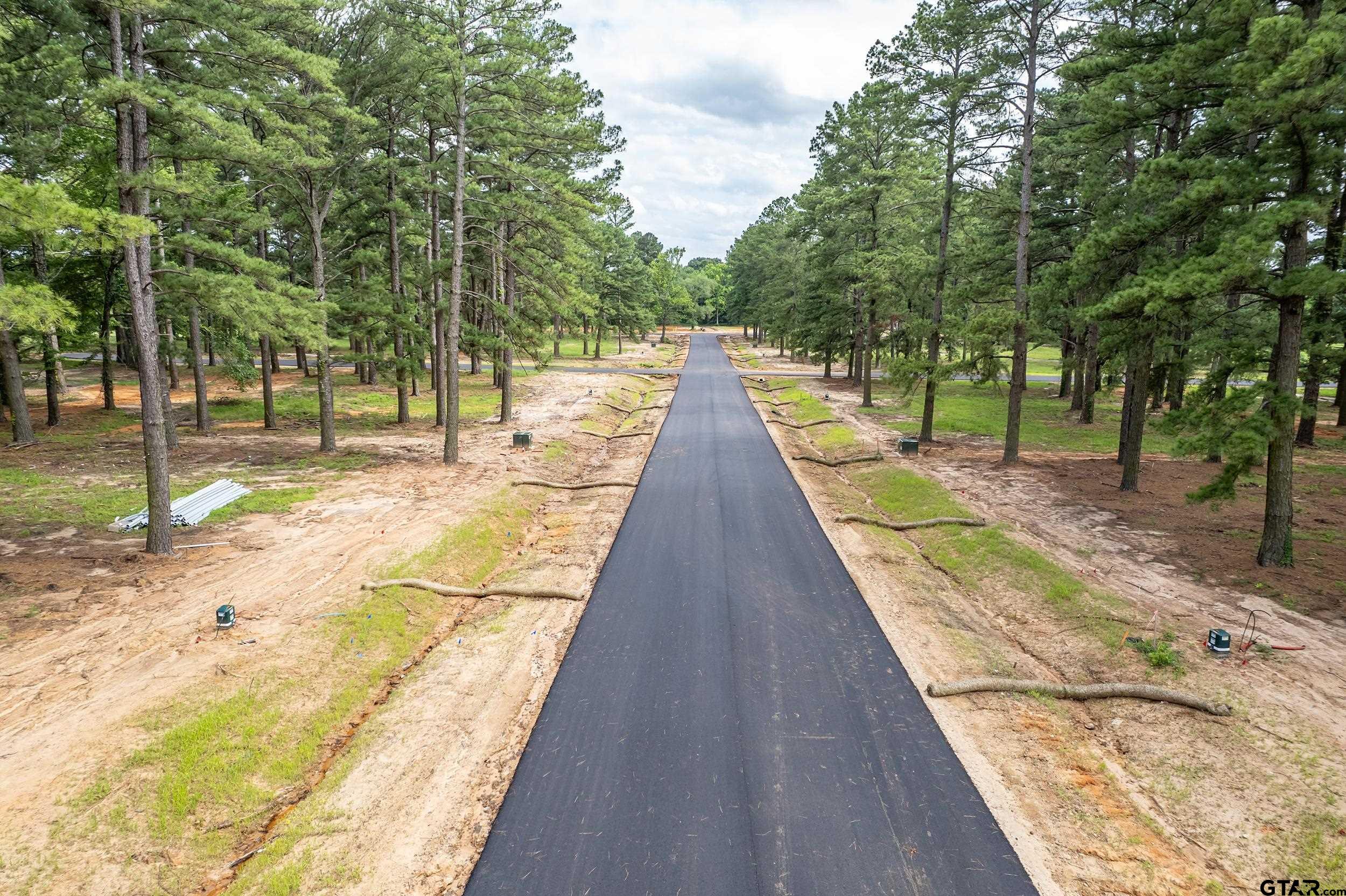 12124 Pinecrest Drive Flint, TX 75762 - Photo 24 of 24 a view of swimming pool with lounge chair