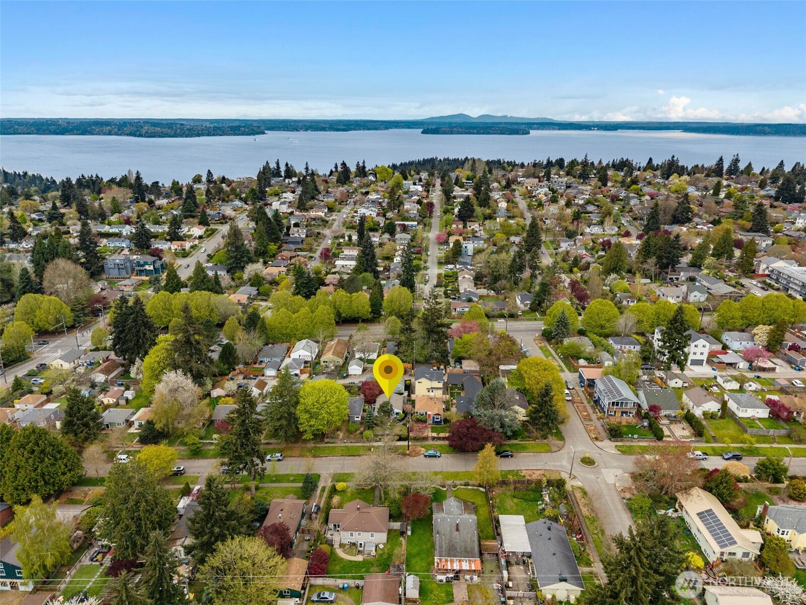 8115 34th Avenue Southwest Seattle, WA 98126 - Photo 33 of 39 a view of a city