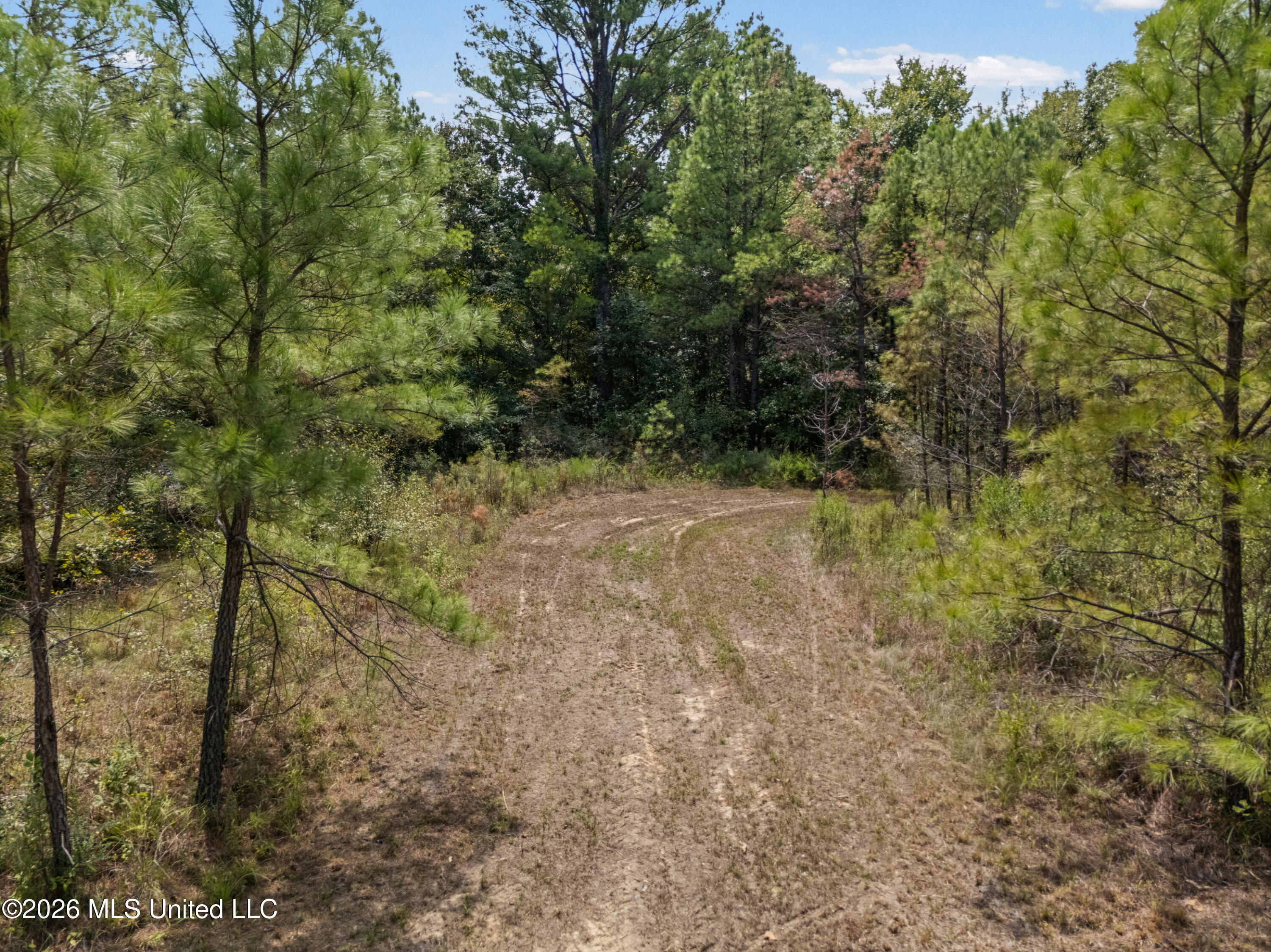 Brownlee Road Sarah, MS 38665 - Photo 5 of 20 7_dji_20260824124941_0096_d_print