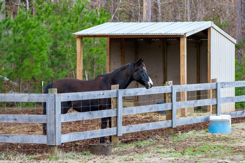 181 Tuck Road Bradley, SC 29819 - Photo 42 of 43 Gallery Image 42