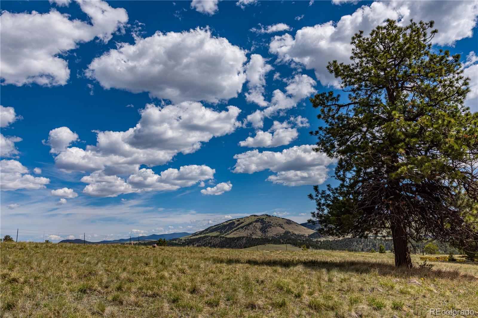 298 Steven Road Canon City, CO 81212 - Photo 26 of 35