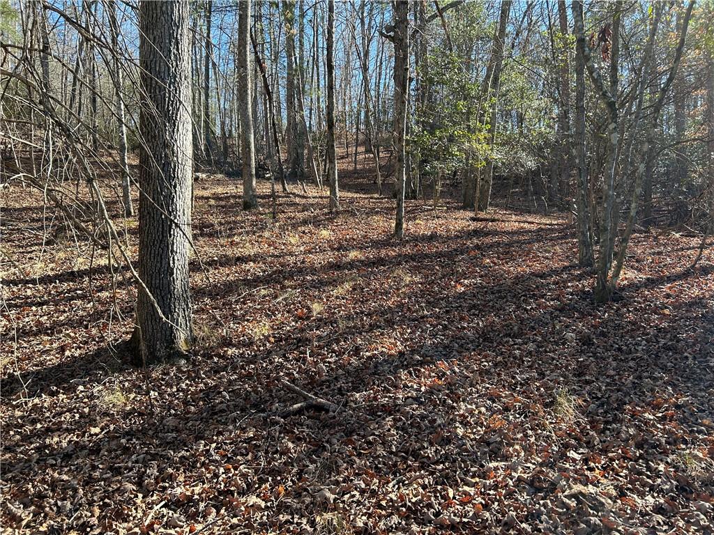 0 Twin River Orchard Road Demorest, GA 30535 - Photo 55 of 63
