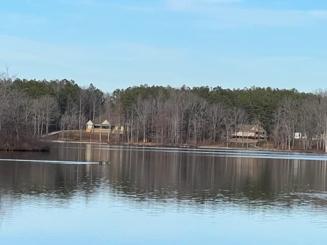 a view of a lake with a mountain in the background