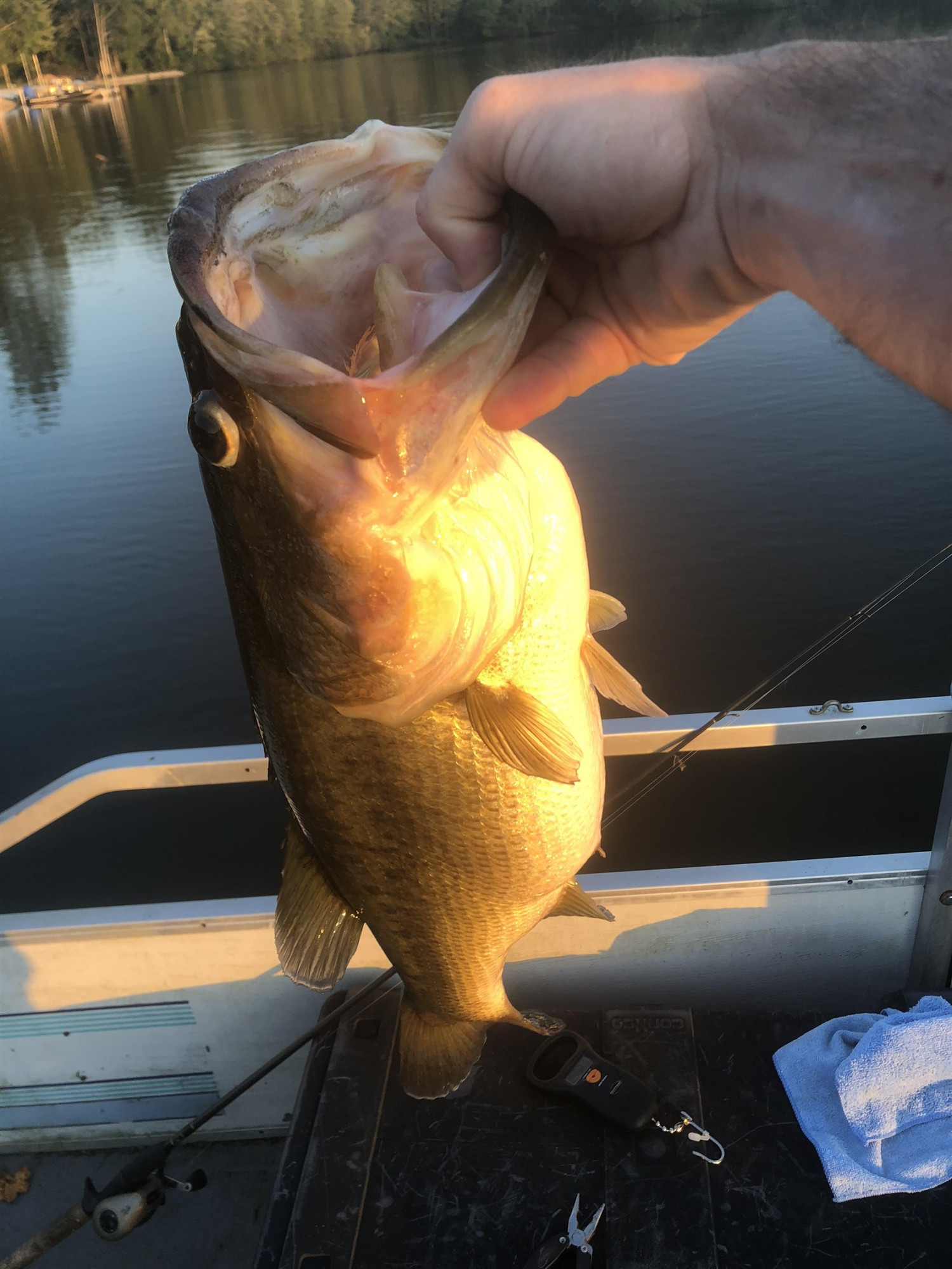 1245 Strike King Drive Cedar Grove, TN 38321 - Photo 7 of 7 a picture of water heater