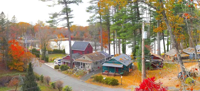 view of a yard with plants and large trees