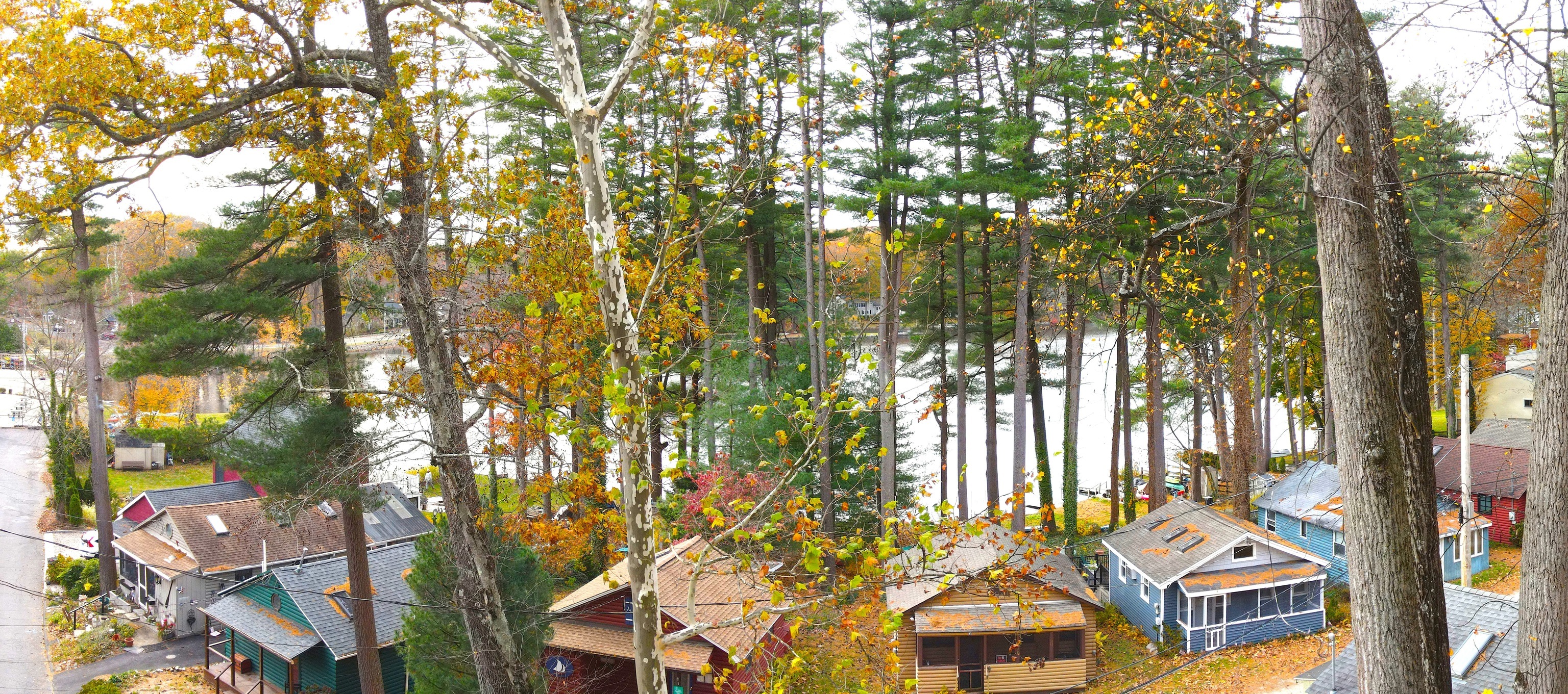 Lot#4 & Mischa Road, Unit 5W Trumbull, CT 06611 - Photo 5 of 19 view of a yard with plants and large trees