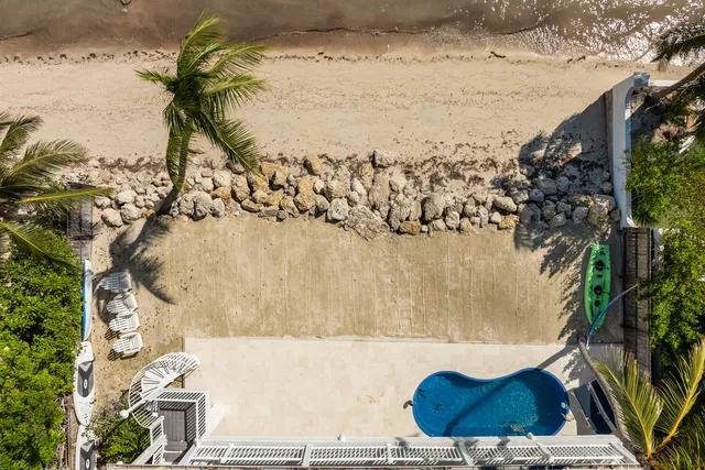 an aerial view of a house with a yard and potted plants