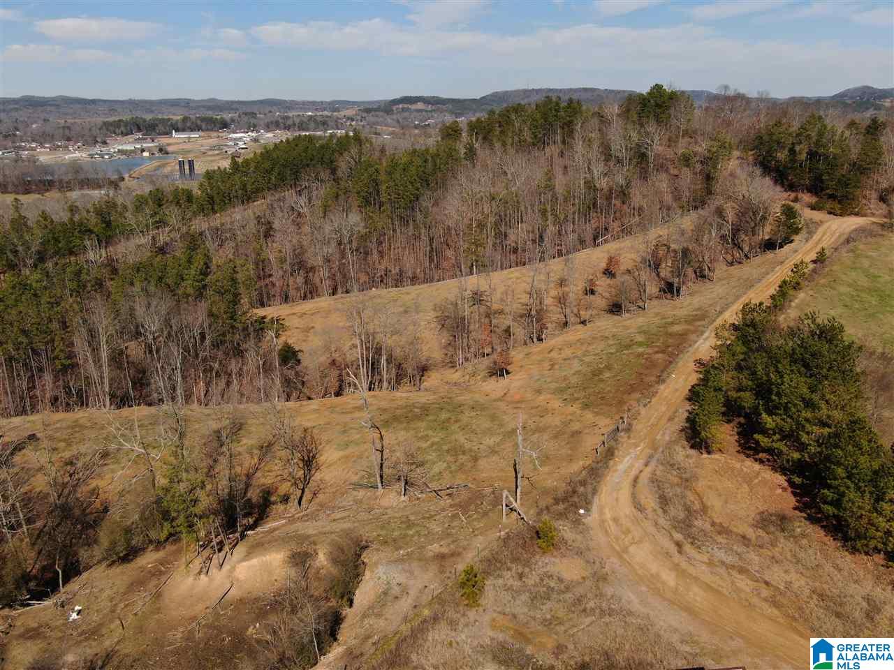 79 Highway 79 Cleveland, AL 35049 - Photo 31 of 36