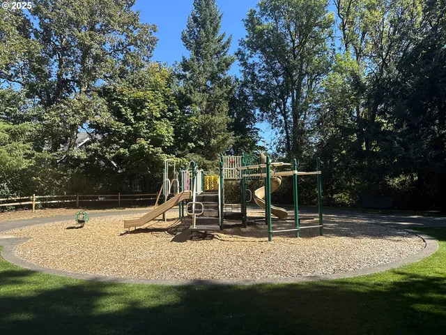 a park view with a slide