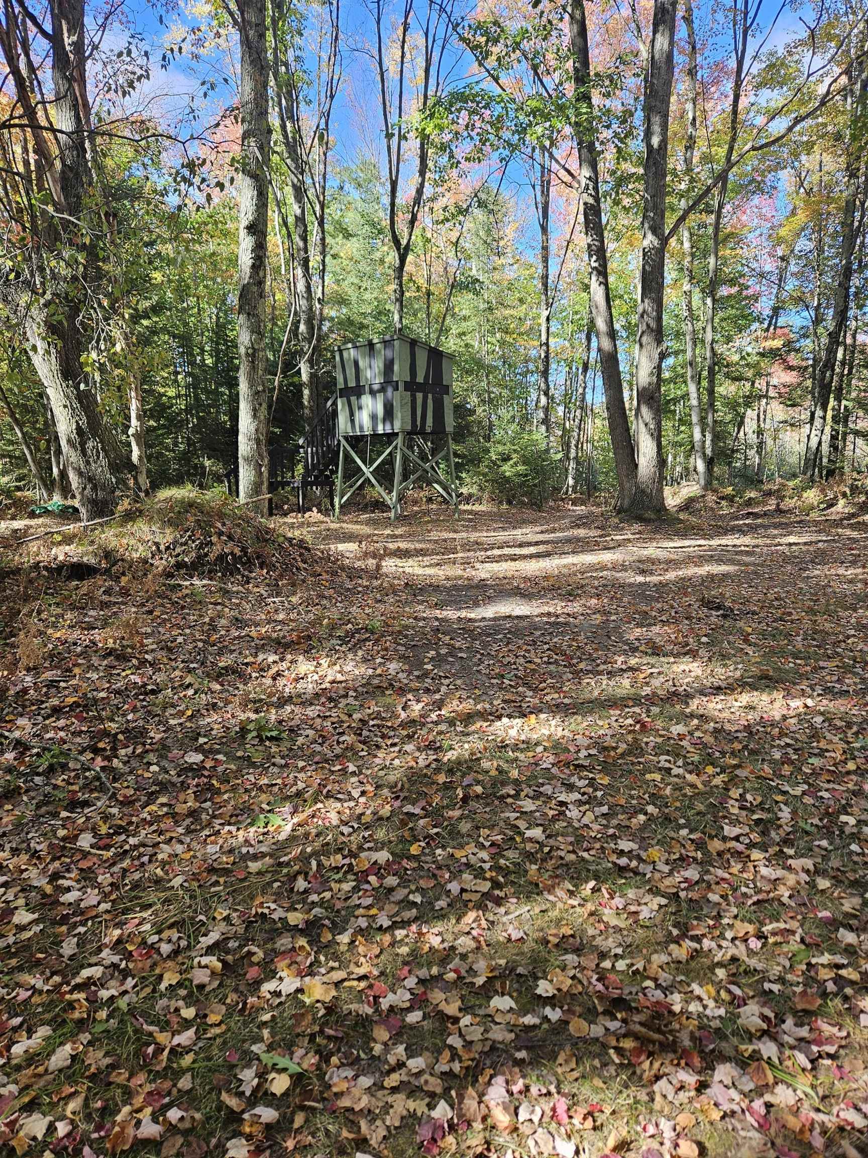 8300 Kokosing Road Hale, MI 48739 - Photo 3 of 9 Gallery Image 3