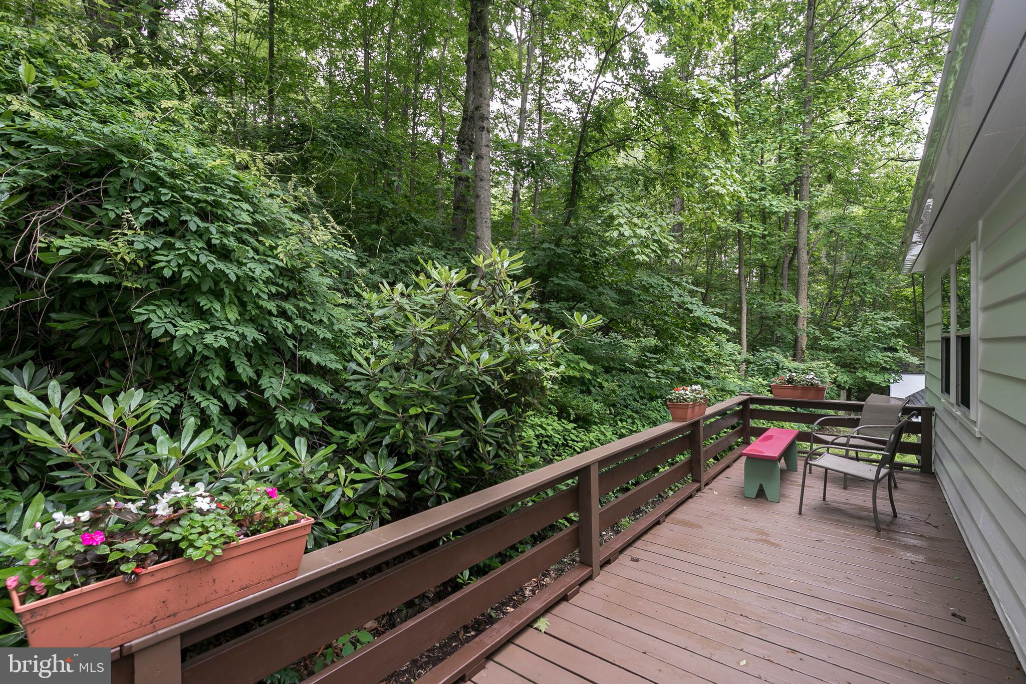 340 Norwood Road Downingtown, PA 19335 - Photo 29 of 36 Greenery Magic Surrounds the Deck!
