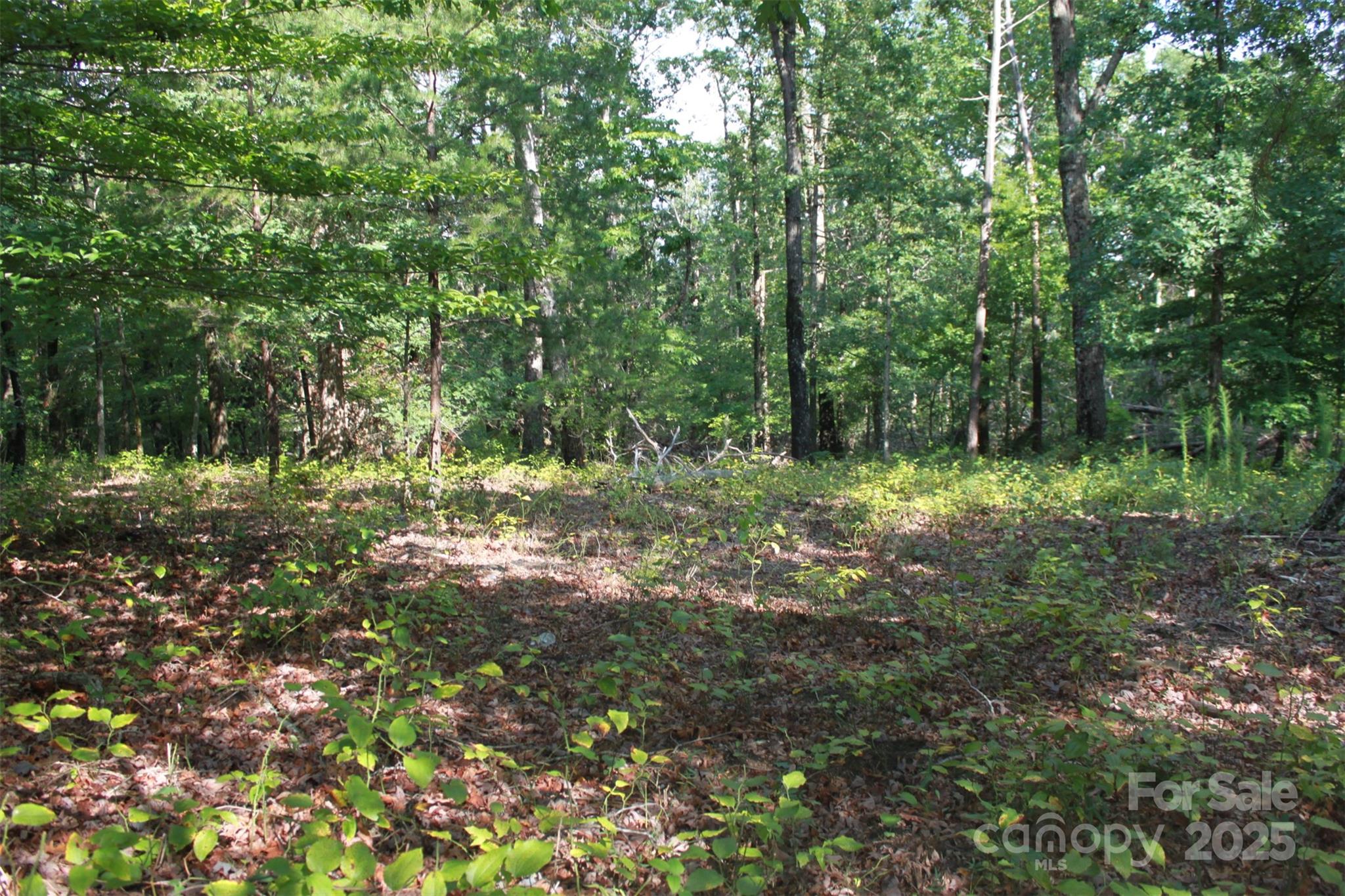 a big yard with lots of green space and deers