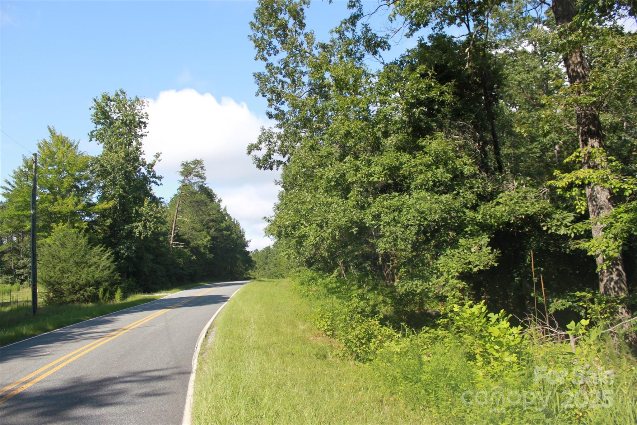 0 Lail Road Rutherfordton, NC 28139 - Photo 5 of 12 a view of a garden