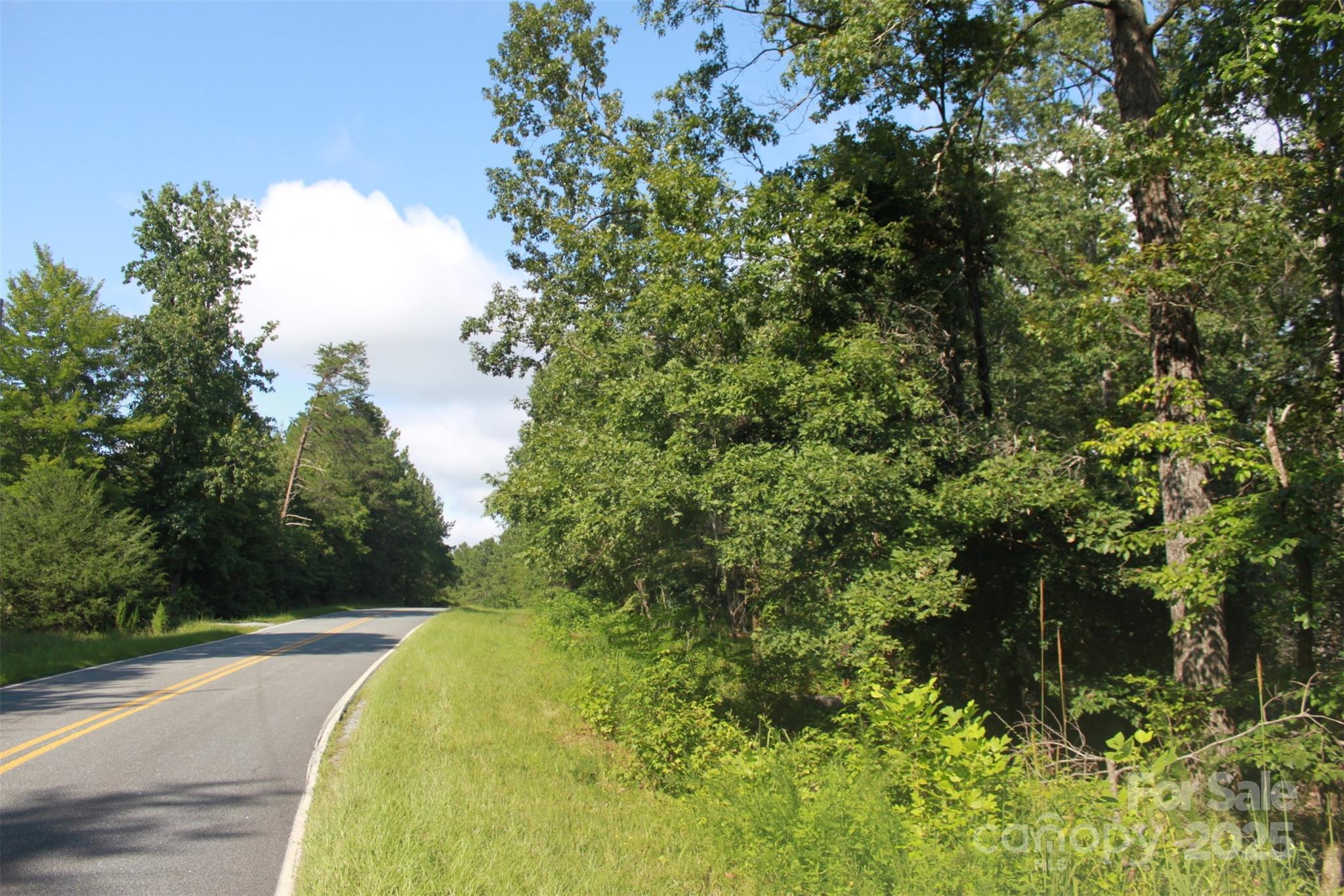 0 Lail Road Rutherfordton, NC 28139 - Photo 6 of 12 a view of a yard
