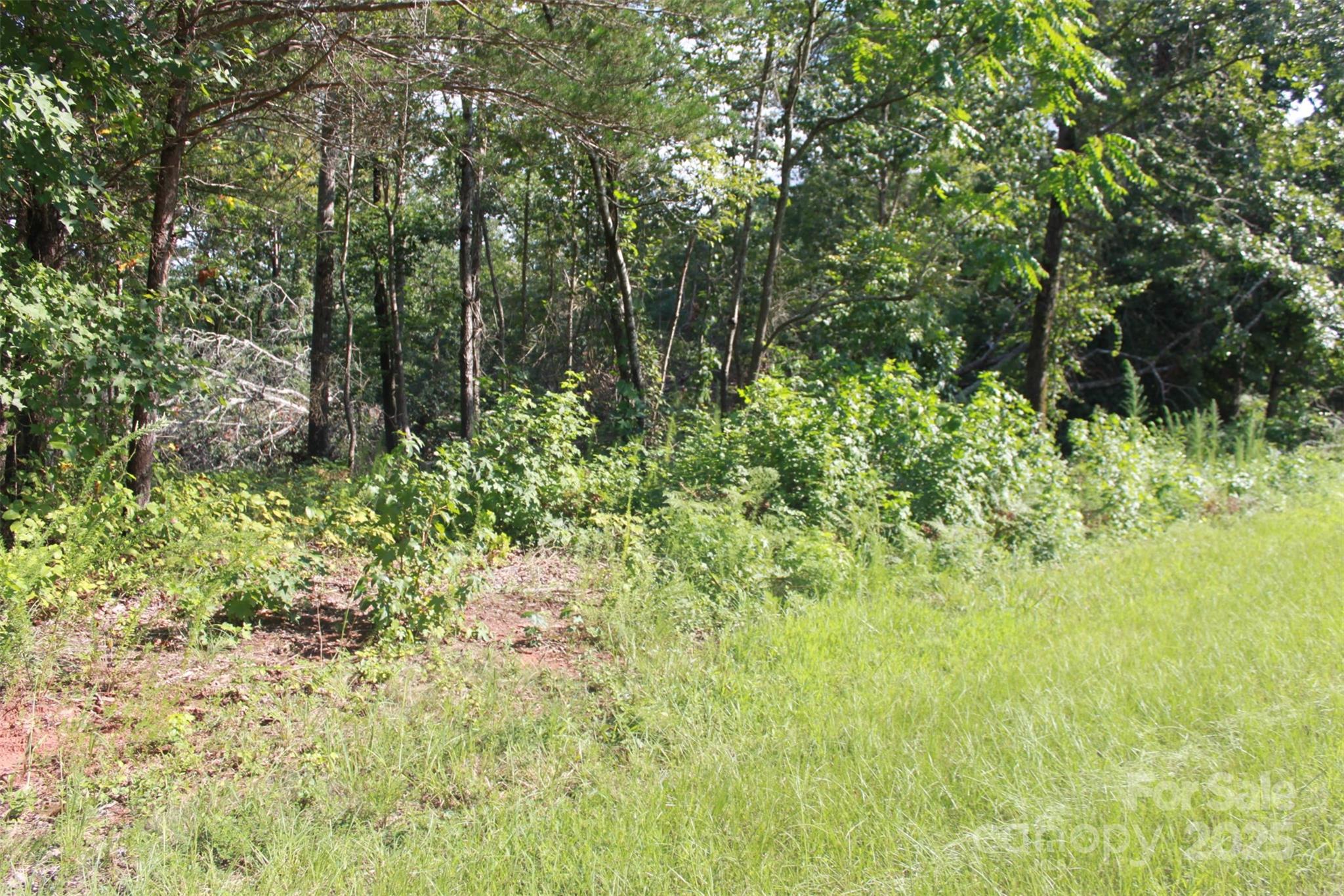 0 Lail Road Rutherfordton, NC 28139 - Photo 10 of 12
