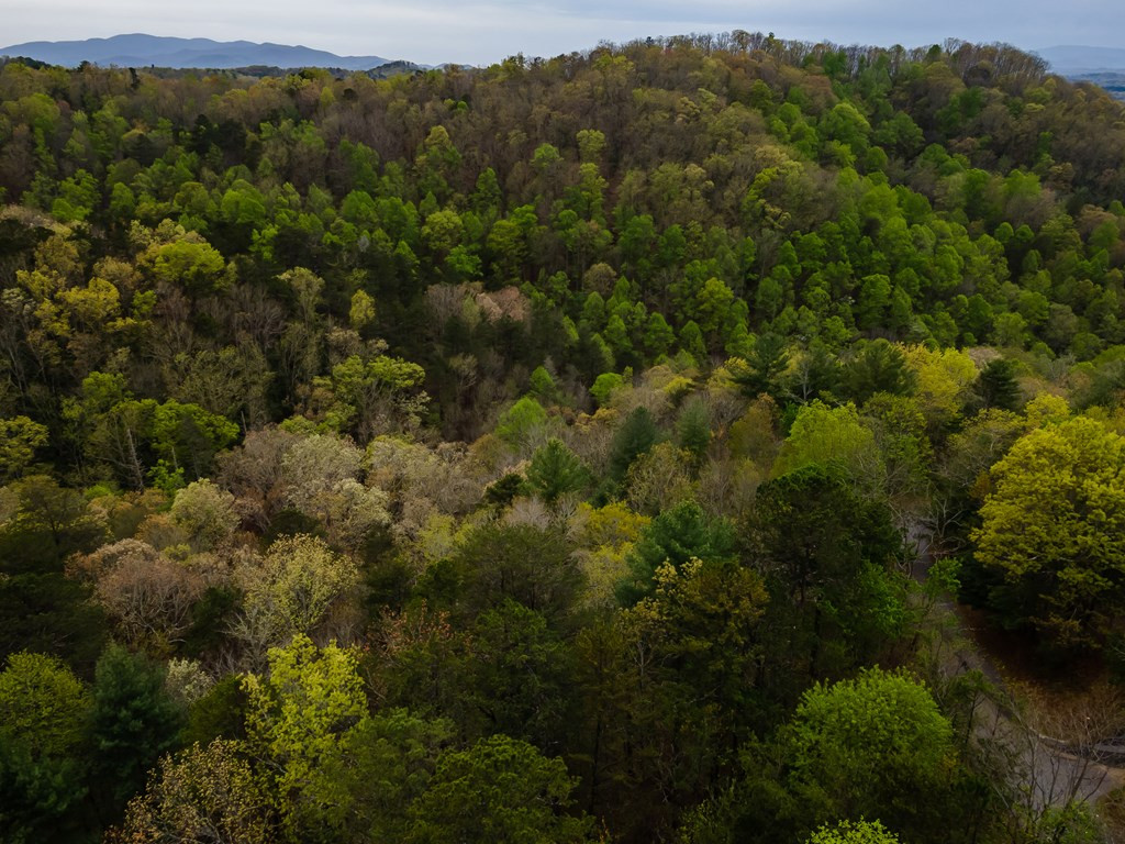Lot 49 Ravens Ridge Mineral Bluff, GA 30559 - Photo 12 of 23 Gallery Image 12