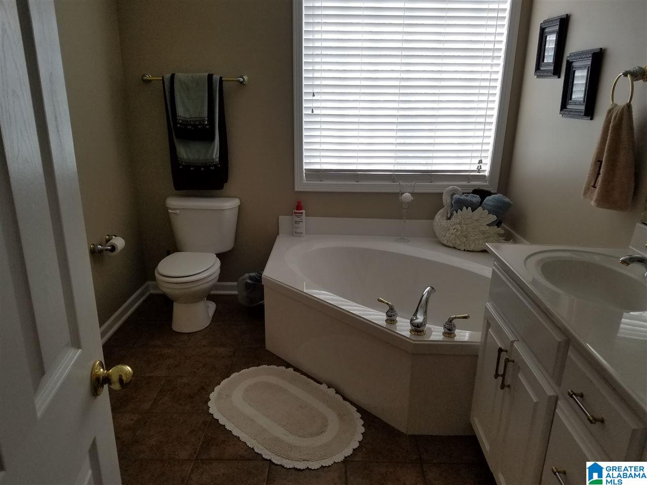 817 Ransome Drive Oneonta, AL 35121 - Photo 8 of 35 Gallery Image 8