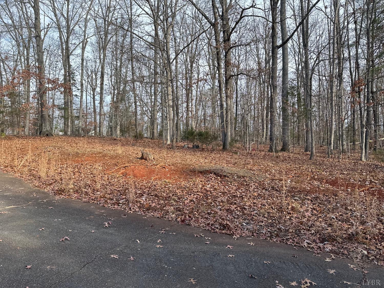 3886 Roseland Road Arrington, VA 22922 - Photo 7 of 20 Gallery Image 7