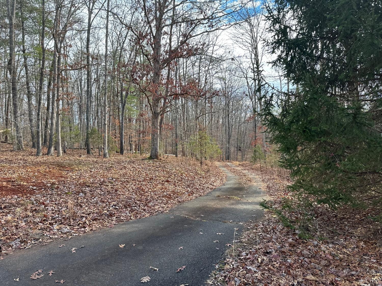 3886 Roseland Road Arrington, VA 22922 - Photo 8 of 20 Gallery Image 8