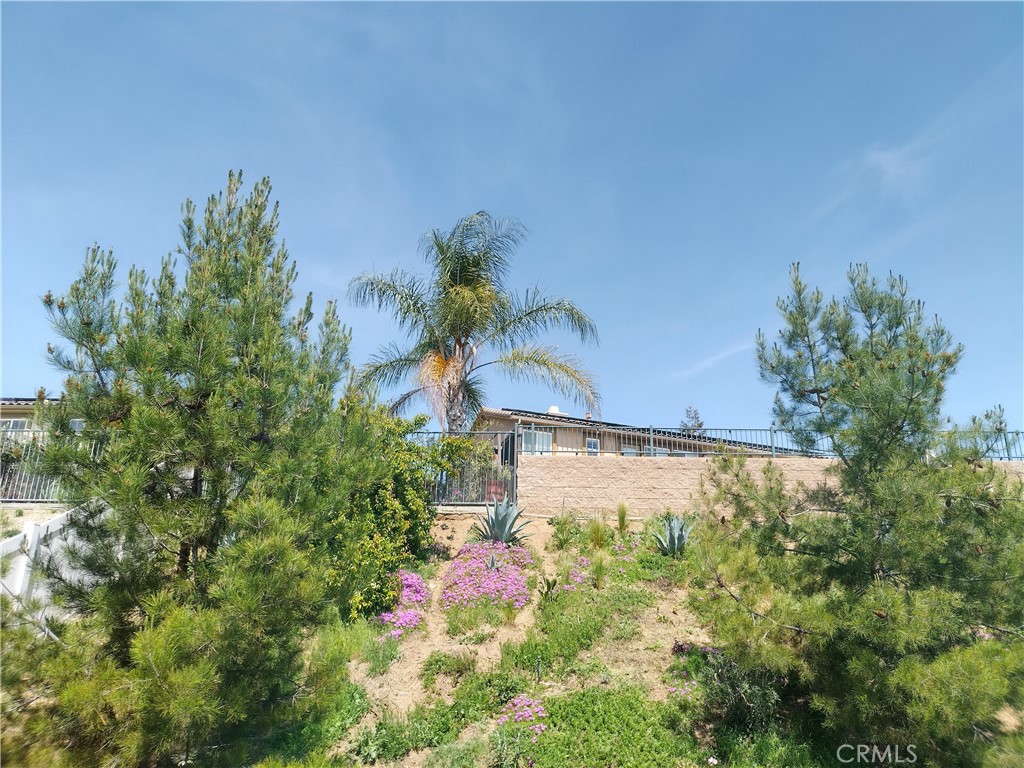 11811 Cramer Road Yucaipa, CA 92399 - Photo 9 of 56 a view of a yard