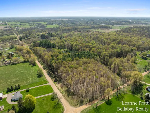 $160,000 | Vl North Pease Road, Bellevue, MI 49021