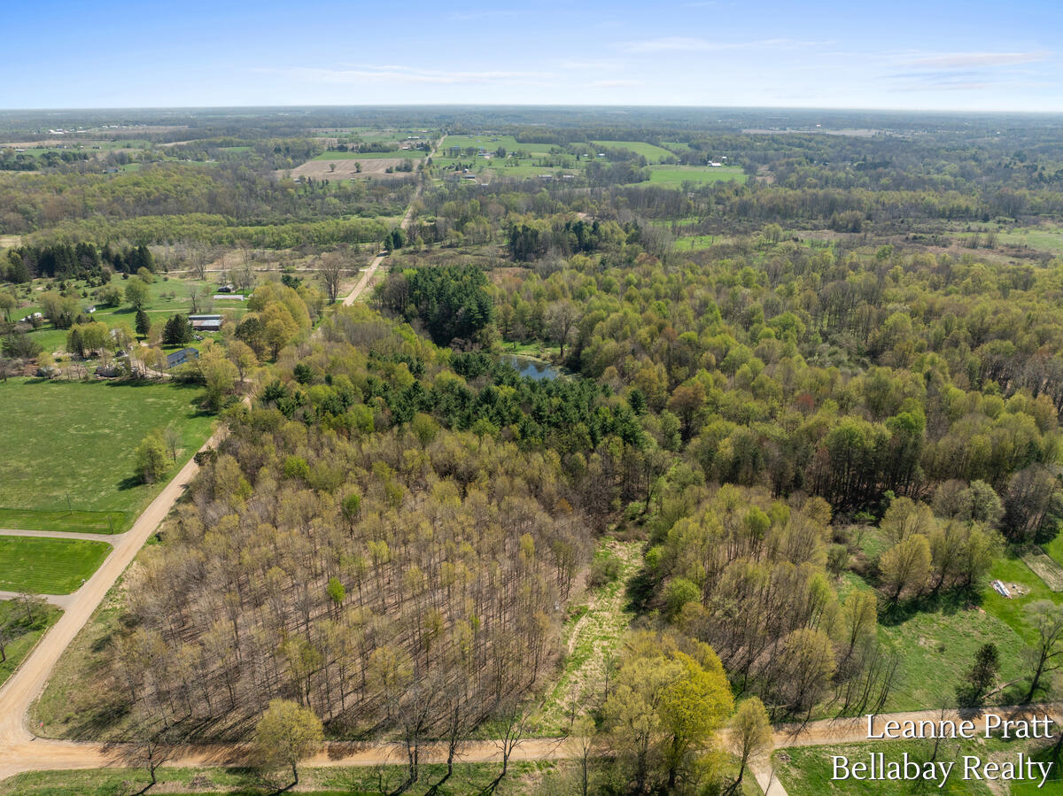 Vl North Pease Road Bellevue, MI 49021 - Photo 11 of 14 9914-Valley-Hwy_210