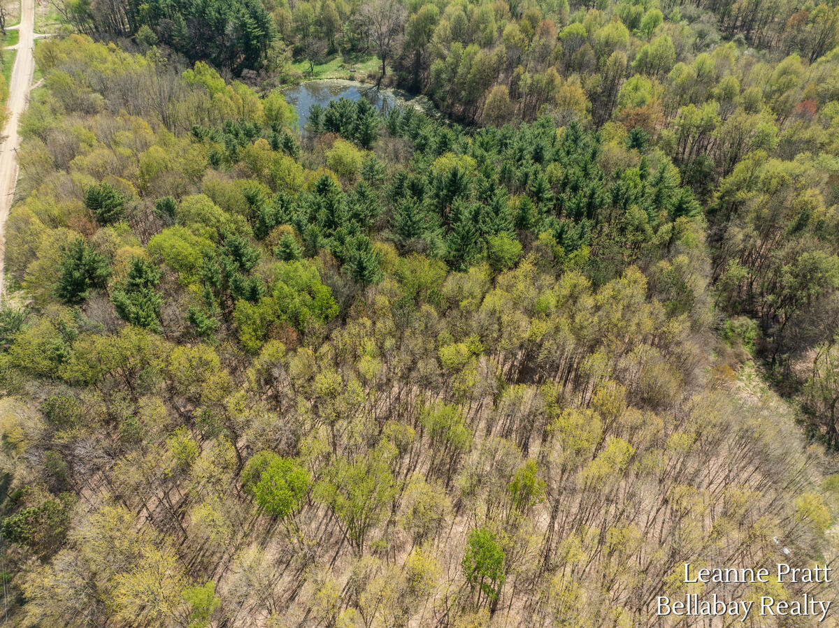 Vl North Pease Road Bellevue, MI 49021 - Photo 12 of 14 9914-Valley-Hwy_211