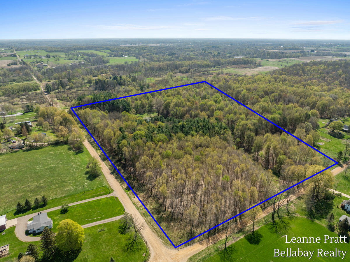 Vl North Pease Road Bellevue, MI 49021 - Photo 2 of 14 Plot Line photo