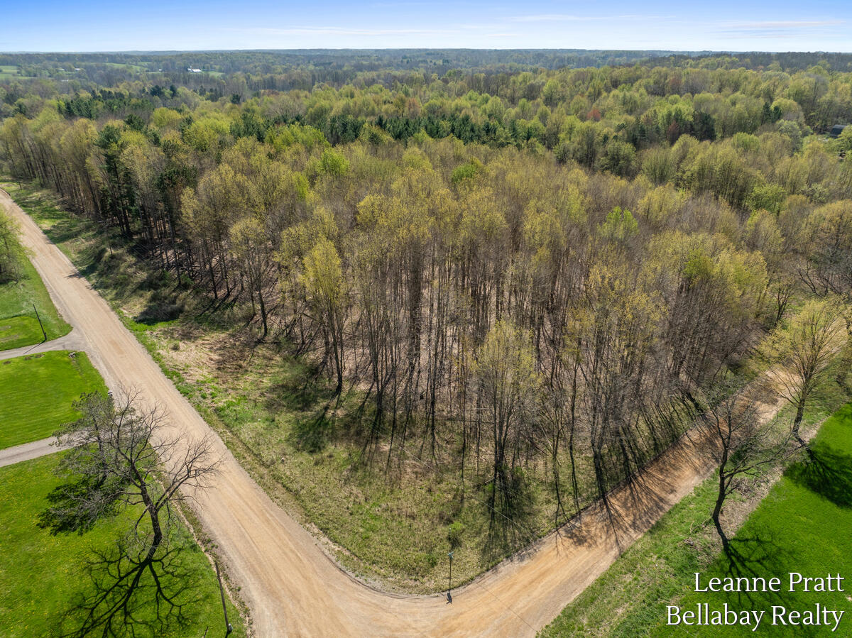Vl North Pease Road Bellevue, MI 49021 - Photo 3 of 14 9914-Valley-Hwy_201