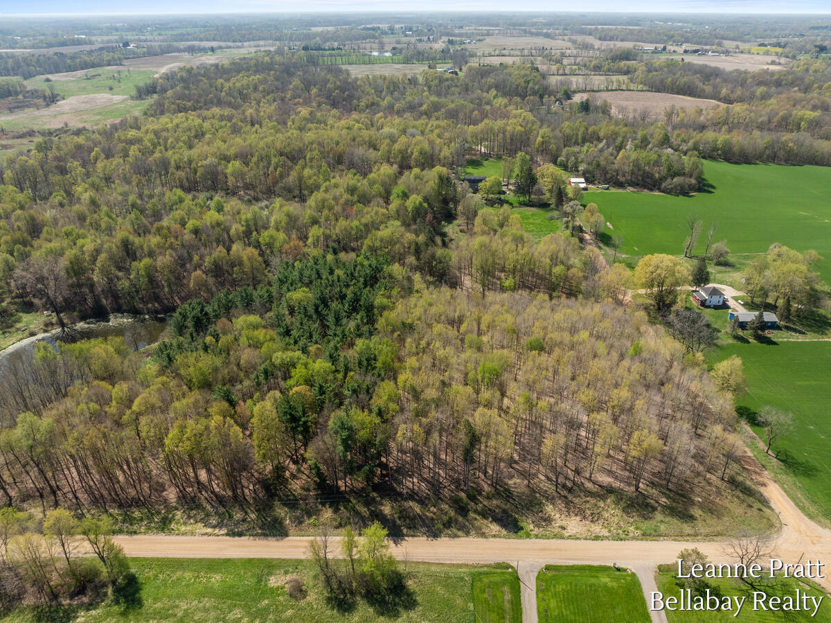 Vl North Pease Road Bellevue, MI 49021 - Photo 4 of 14 9914-Valley-Hwy_203