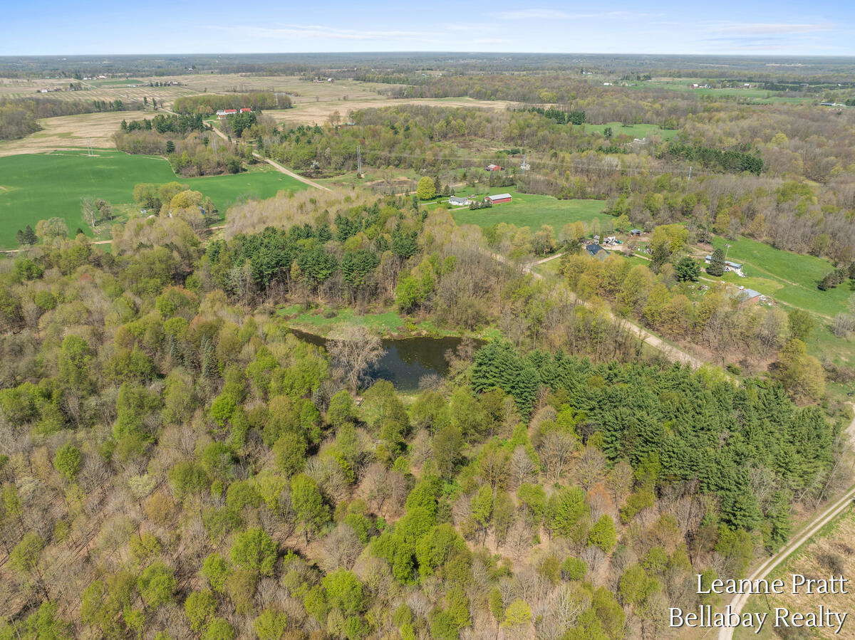 Vl North Pease Road Bellevue, MI 49021 - Photo 7 of 14 9914-Valley-Hwy_206