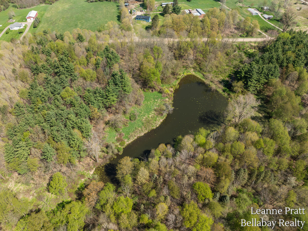 Vl North Pease Road Bellevue, MI 49021 - Photo 8 of 14 9914-Valley-Hwy_207