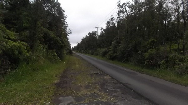 11-2817 Hale Ohia Road Volcano, HI 96785 - Photo 3 of 4 a view of a yard