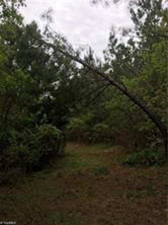 0 Willard Road Walnut Cove, NC 27052 - Photo 3 of 7 Gallery Image 3