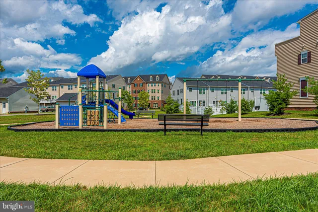 a view of a park with lawn chairs and a large tree