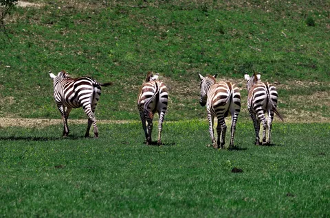a living room with furniture a flat screen tv and a large window