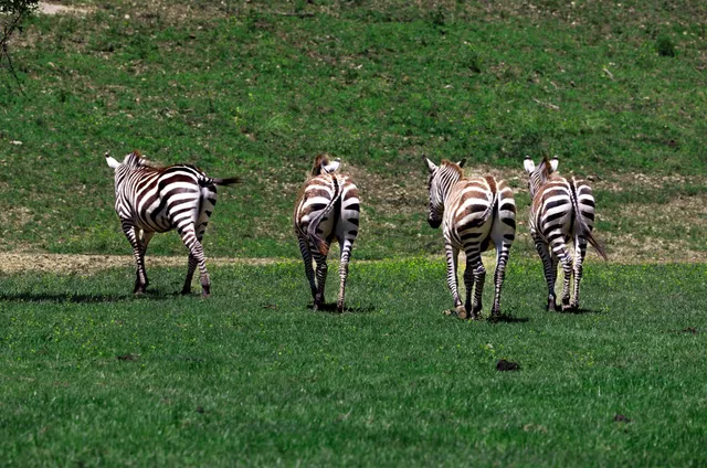 a living room with furniture a flat screen tv and a large window