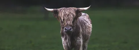 a close view of door lock