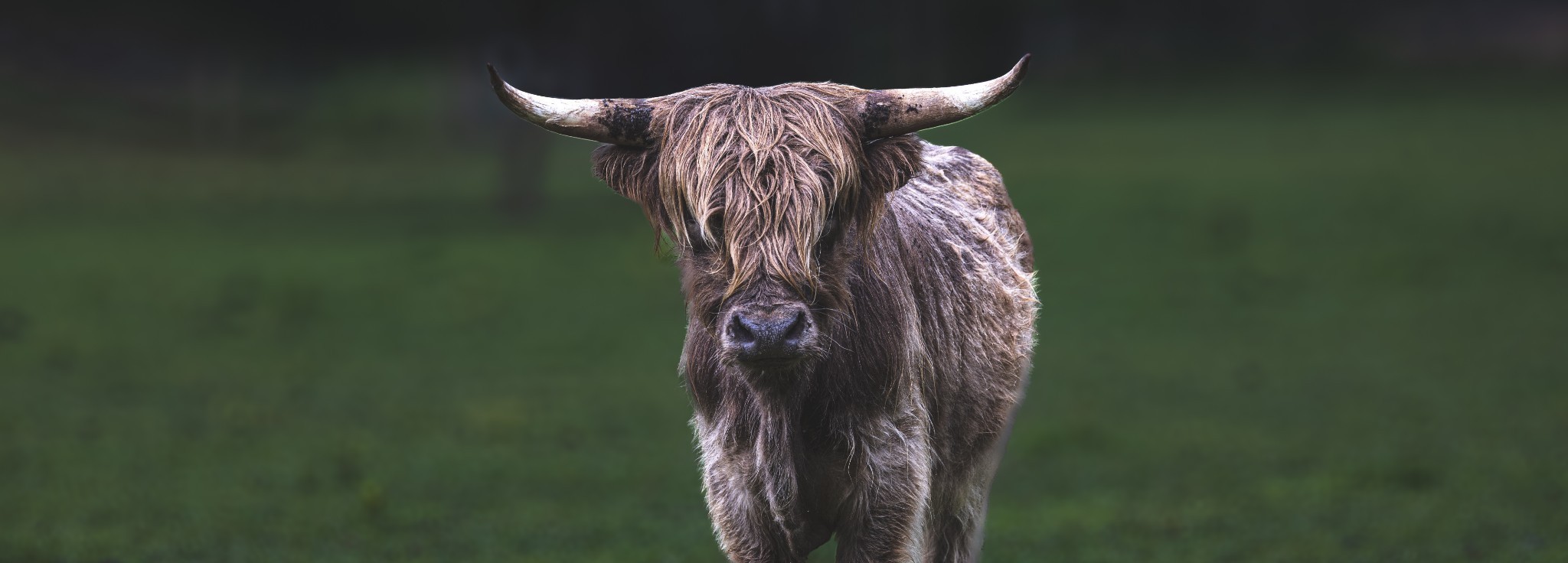 1020 Bison Ridge Joelton, TN 37080 - Photo 4 of 45 a close view of door lock