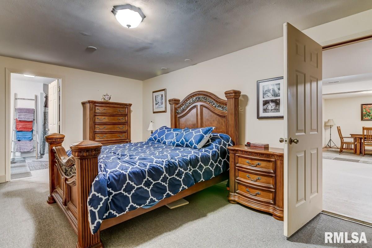 6765 Old Rte 36 Riverton, IL 62561 - Photo 23 of 48 Gallery Image 23
