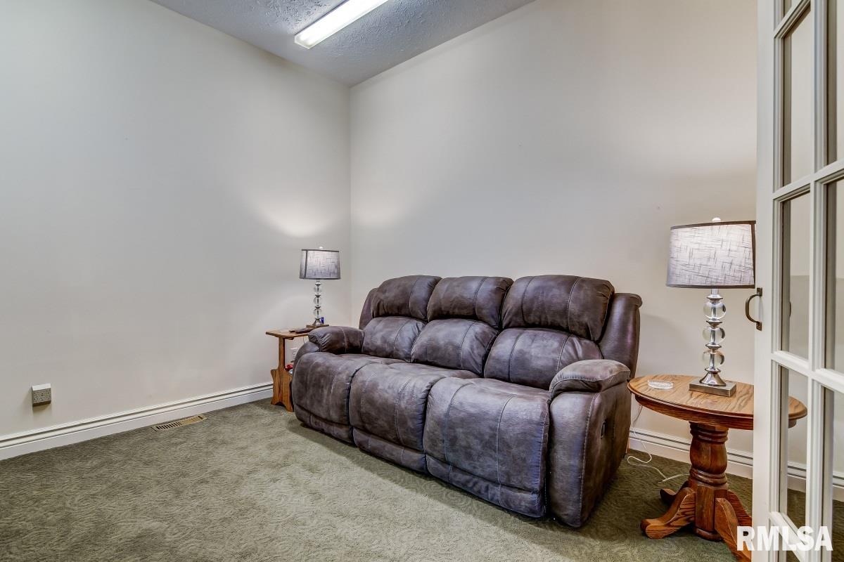6765 Old Rte 36 Riverton, IL 62561 - Photo 38 of 48 Gallery Image 38