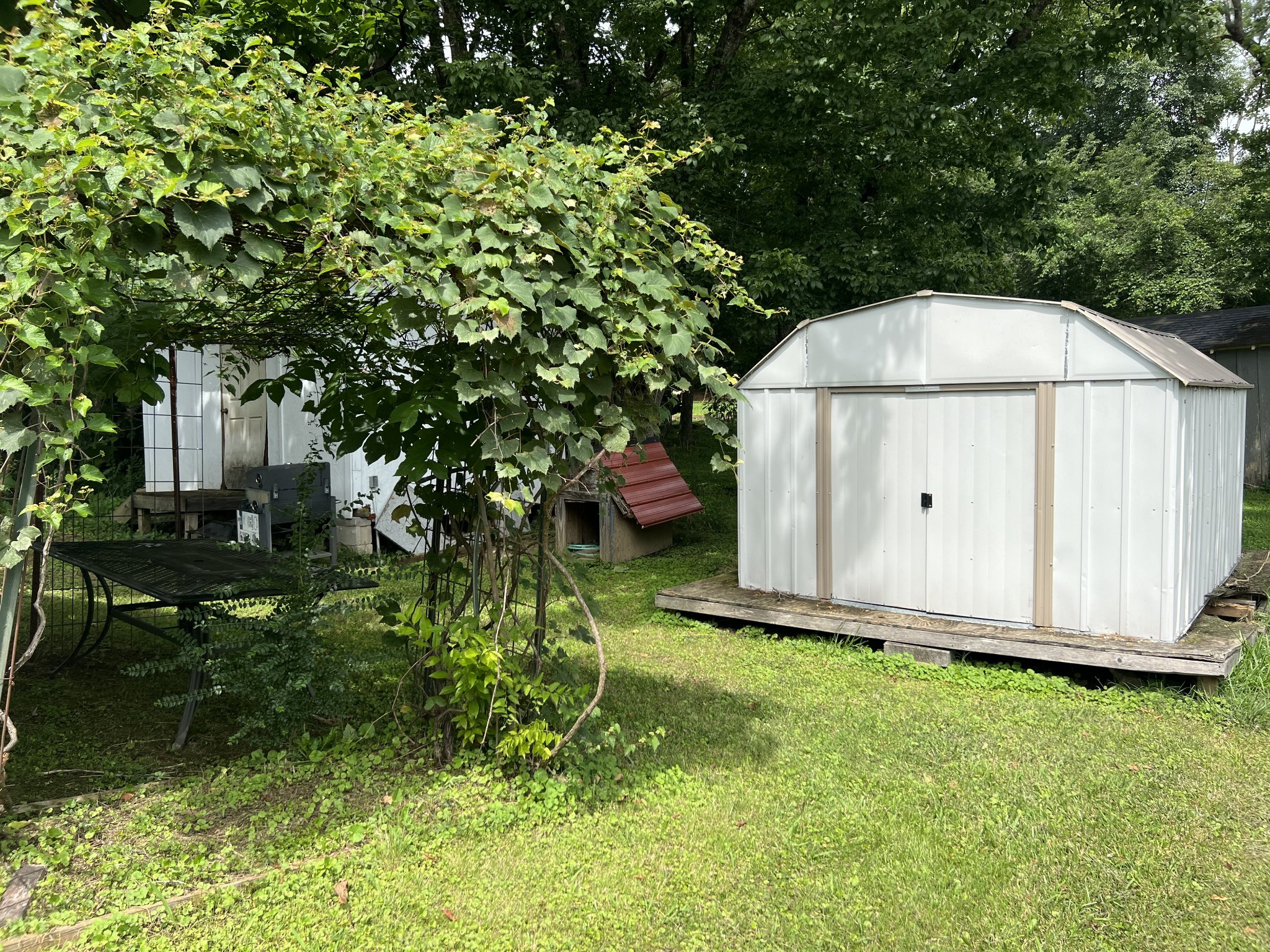256 Walker Street Manchester, TN 37355 - Photo 14 of 14 a view of backyard with potted plants and large tree