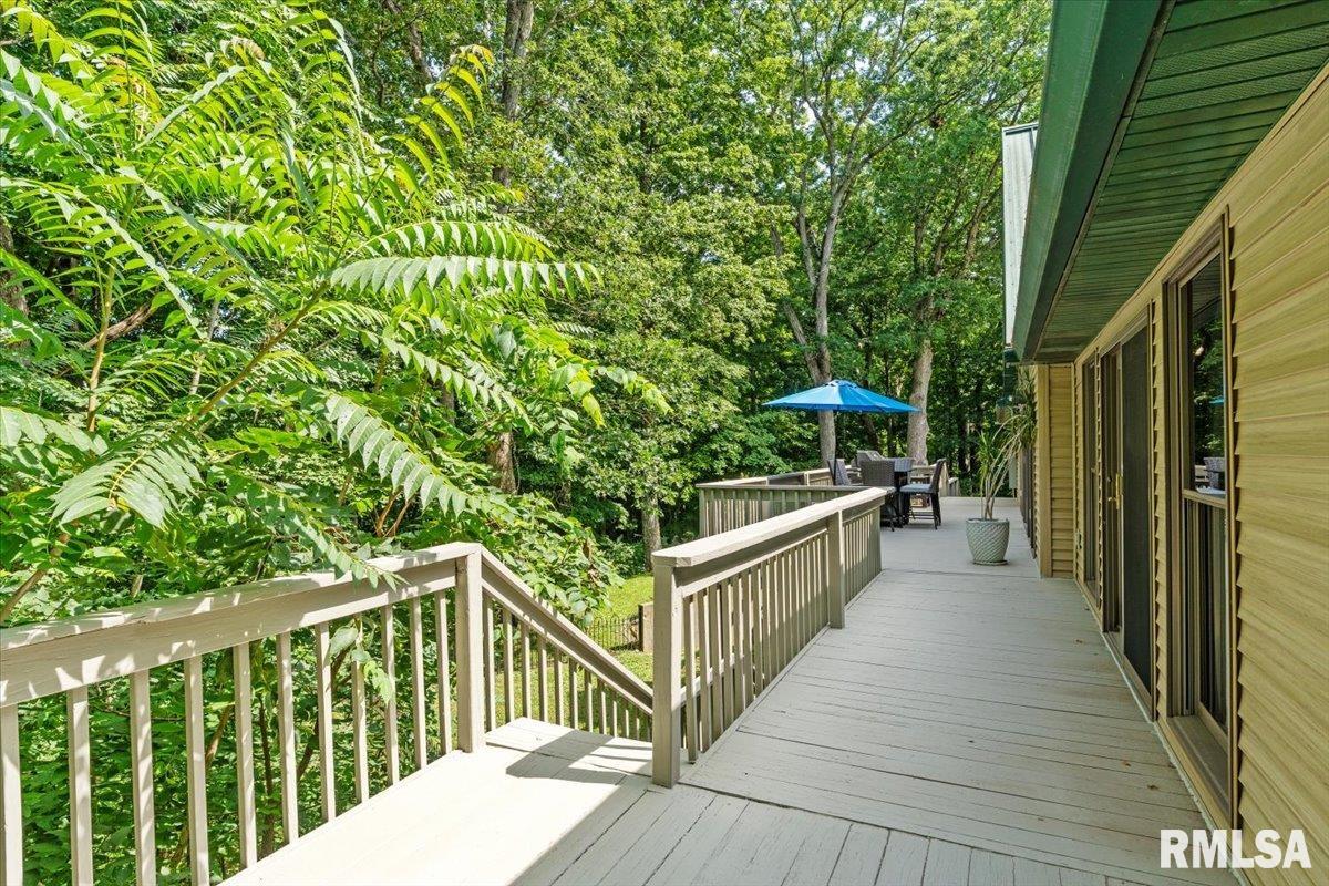 5626 Irwin Bridge Road Pleasant Plains, IL 62677 - Photo 57 of 73 Gallery Image 57