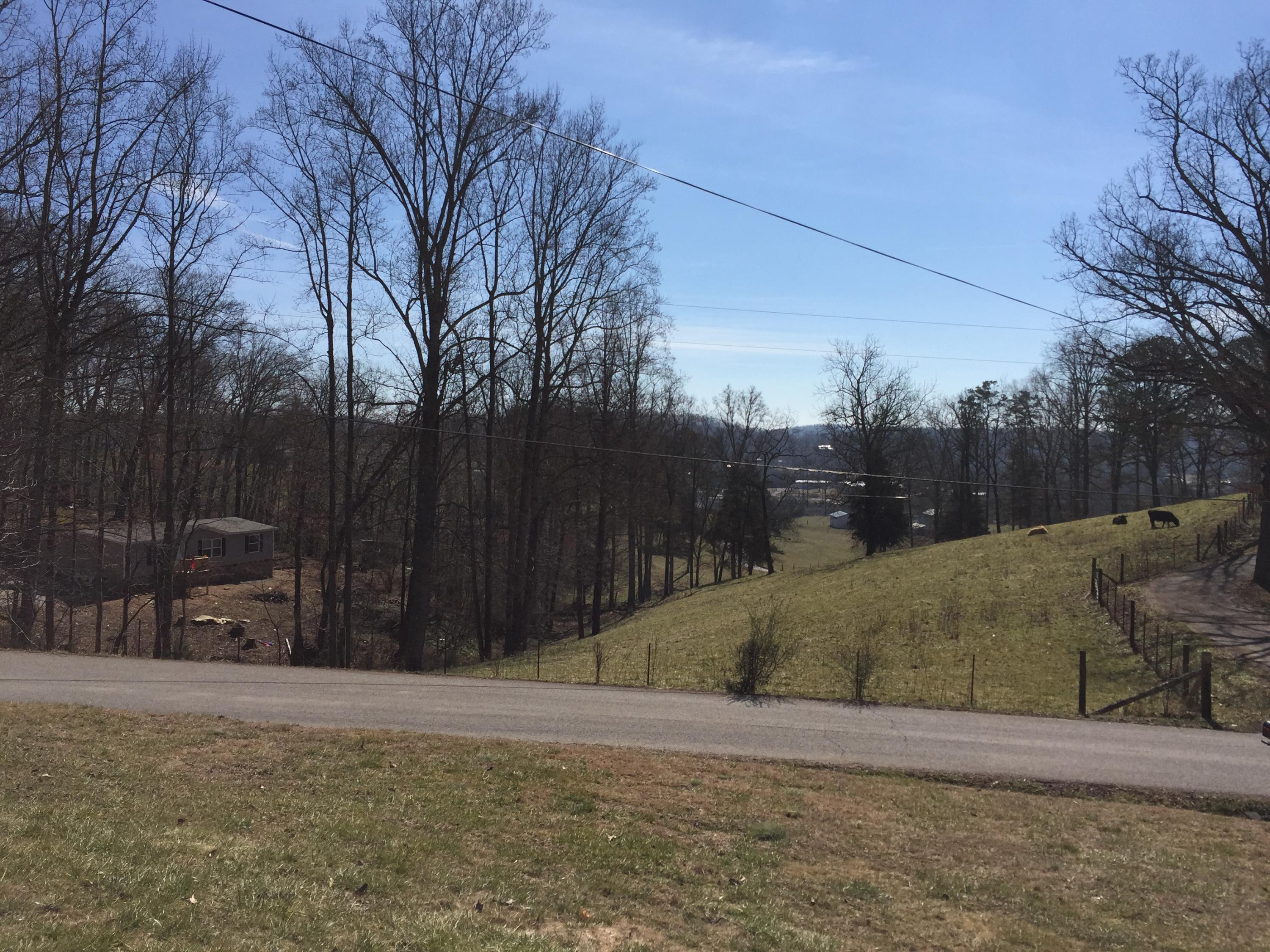 450 Hatmaker Ridge Road Jacksboro, TN 37757 - Photo 8 of 11 IMG_4732