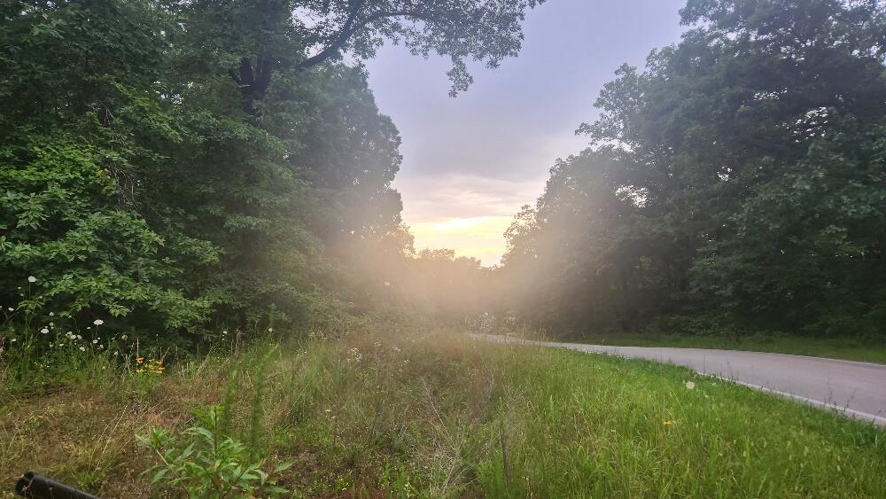 20250627_181921_resized