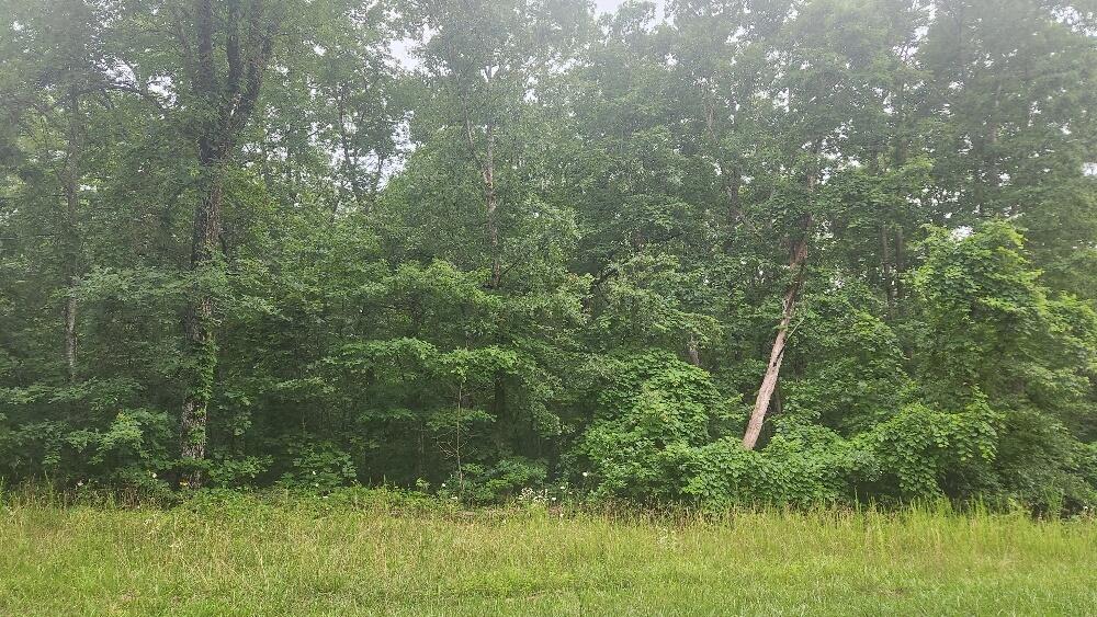 Lot 561 Simmons Road Pikeville, TN 37367 - Photo 3 of 9 20250627_181949_resized