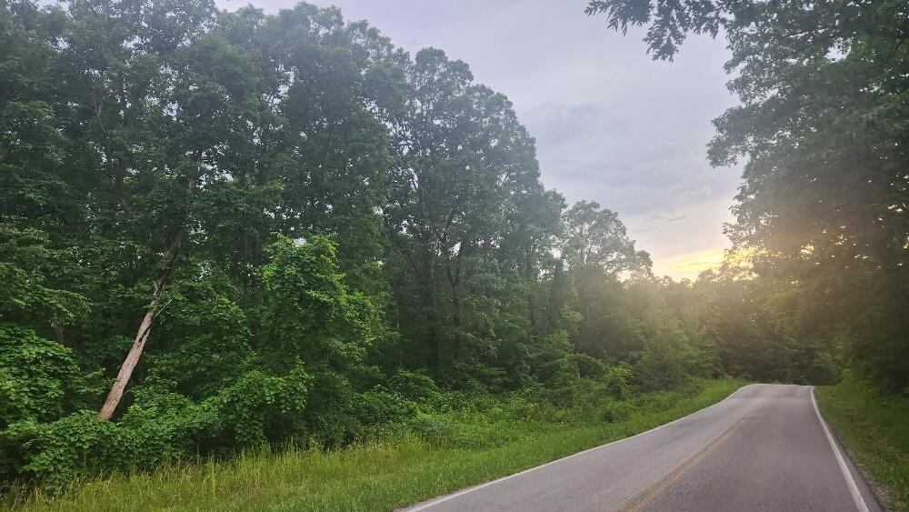 Lot 561 Simmons Road Pikeville, TN 37367 - Photo 4 of 9 20250627_181951_resized