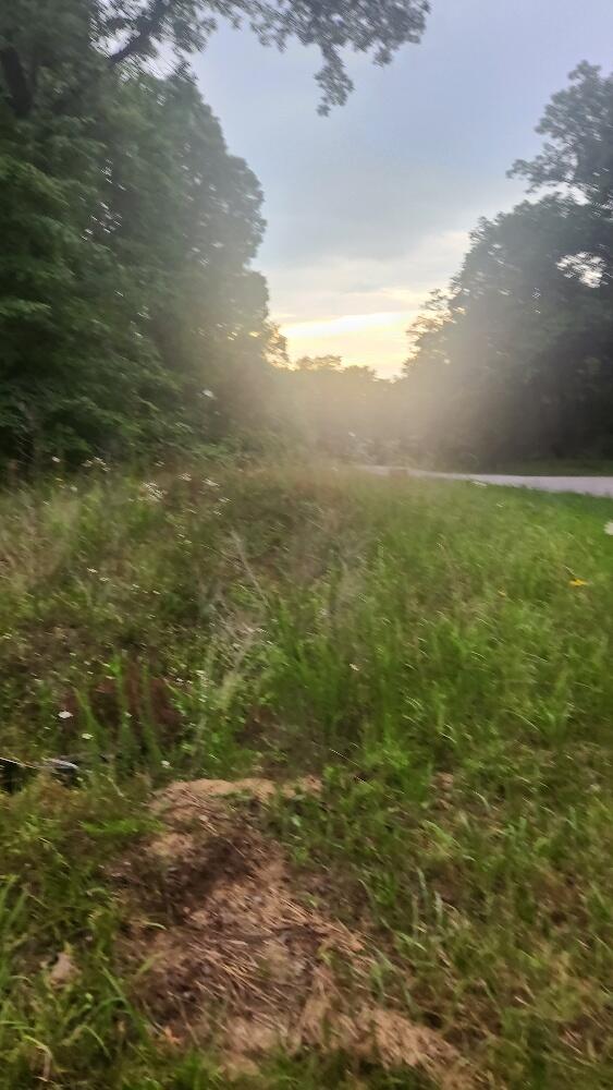 Lot 561 Simmons Road Pikeville, TN 37367 - Photo 6 of 9 20250627_182318_resized