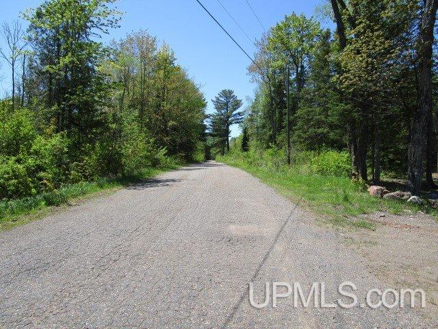 Tbd Co Rd Ppl Ishpeming, MI 49849 - Photo 29 of 30